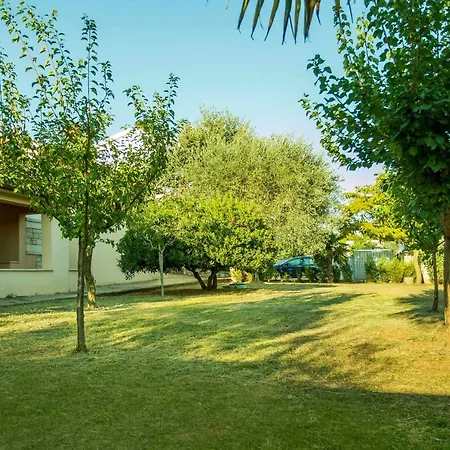 House Alex 로비니